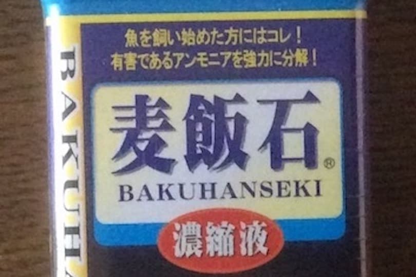 今日はフィルターの交換だけ